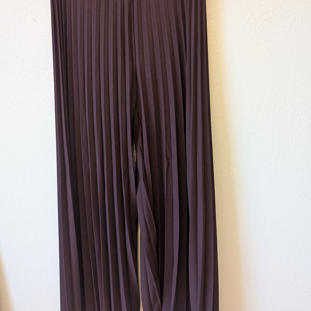 Zara Deep Burgundy Trousers